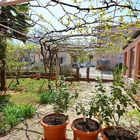 Valter 881 Apartment
